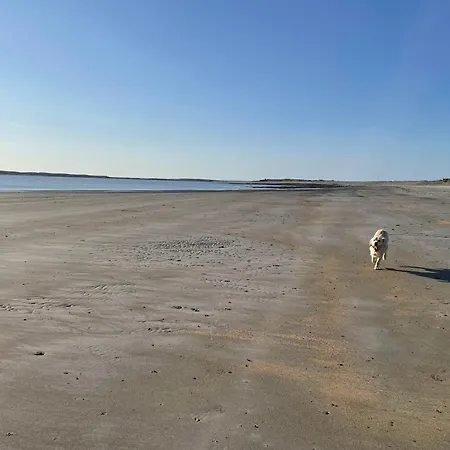 Seafield House At The منزل للإقامة Quilty