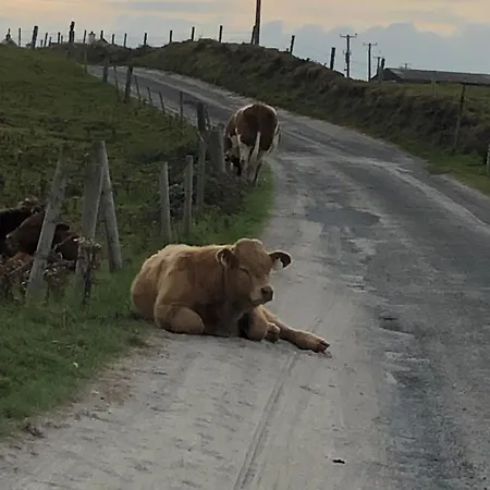 Seafield House At The منزل للإقامة Quilty