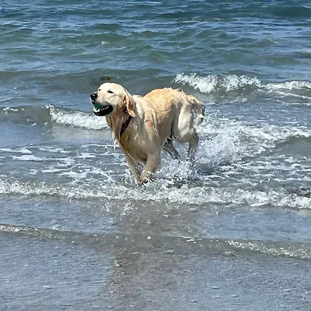 Seafield House At The منزل للإقامة