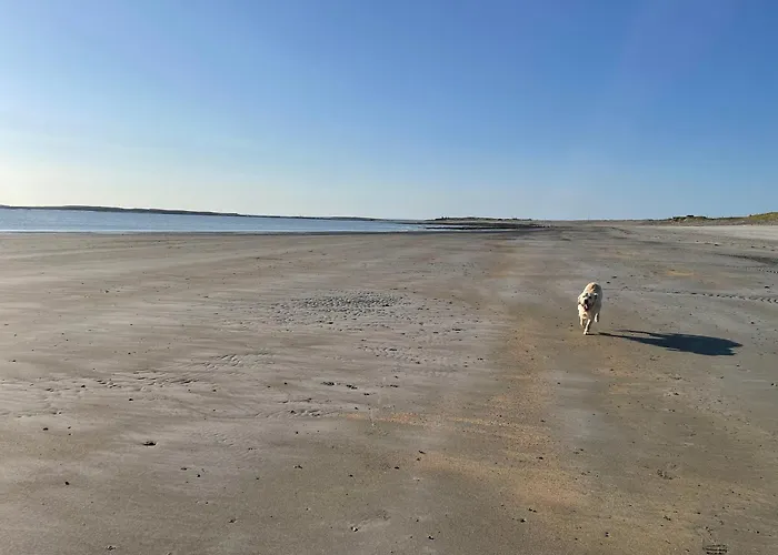 Seafield House At The Kwatera prywatna Quilty