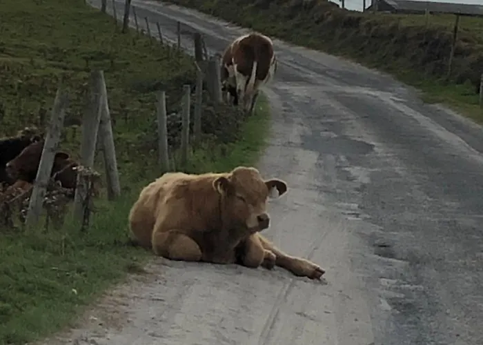 Seafield House At The Séjour chez l'habitant Quilty